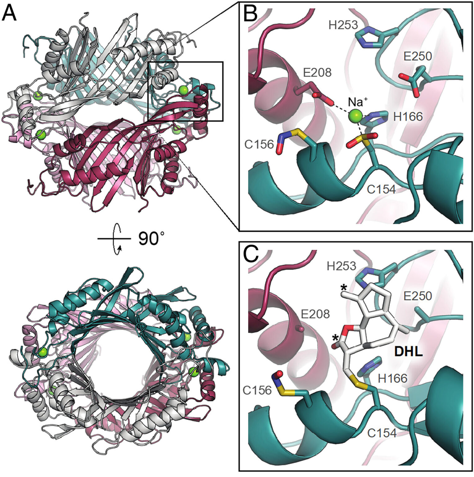 All Publications – The Davis Lab