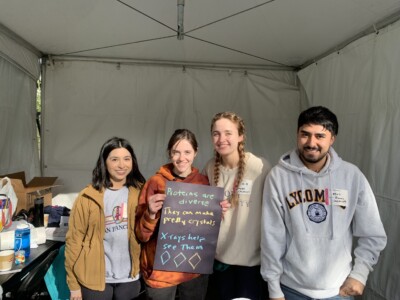 Protein crystal haiku