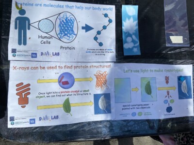 Activity #1 at the Science Festival