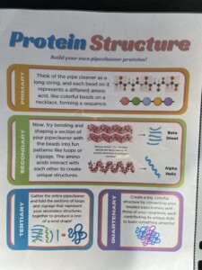 Activity #2 at the ATL Science Festival