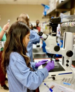 More looping - keep up the good work!